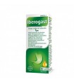 IBEROGAST GOTAS ORALES EN SOLUCION 1 FRASCO 50 m