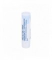 AXOVITAL PROTECTOR LABIAL NUTRITIVO 4 G