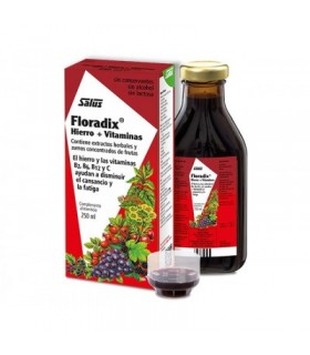 FLORADIX ELIXIR 250 ML