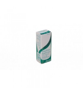 RESPIBIEN FRESHMINT 0,5 MG/ML SOLUCION PARA PULV