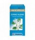 ESPINO ALBAR ARKOPHARMA 350 mg 84 CAPSULAS