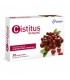 CISTITUS 300 MG 30 COMP