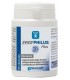 ERGYPHILUS  PLUS   60 CAPS   NUTERGIA