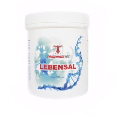 LEBENSAL 288 GR POLVO (HAUSMANNTEC)