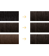 FARMATINT 3 N CASTAÑO OSCURO