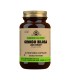 SOLGAR GINKGO BILOBA 60CAPS