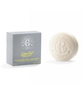 R&G TWIST LIMPIADOR 100G