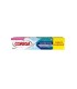 COREGA ACCION TOTAL 70G