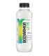 BODYARMOR LYTE COCONUT