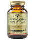SOLGAR ASHWAGANDHA 60 CAP