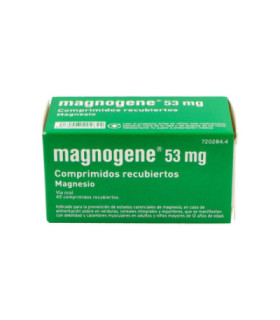 MAGNOGENE 45 COMPRIMIDOS RECUBIERTOS